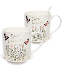 MUG-218 Н-р из 2-х кружек в подарочной коробке в асс.