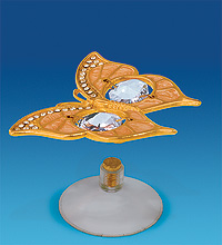 AR-4114/ 3 Фигурка на магните "Бабочка" золотая (Юнион)