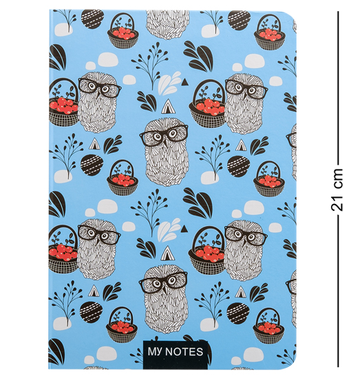 BM-27/3 Блокнот бол. "Совушка-сова" (твердая обложка)